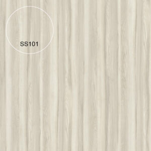 SS101-CONCRETE GRAIN
